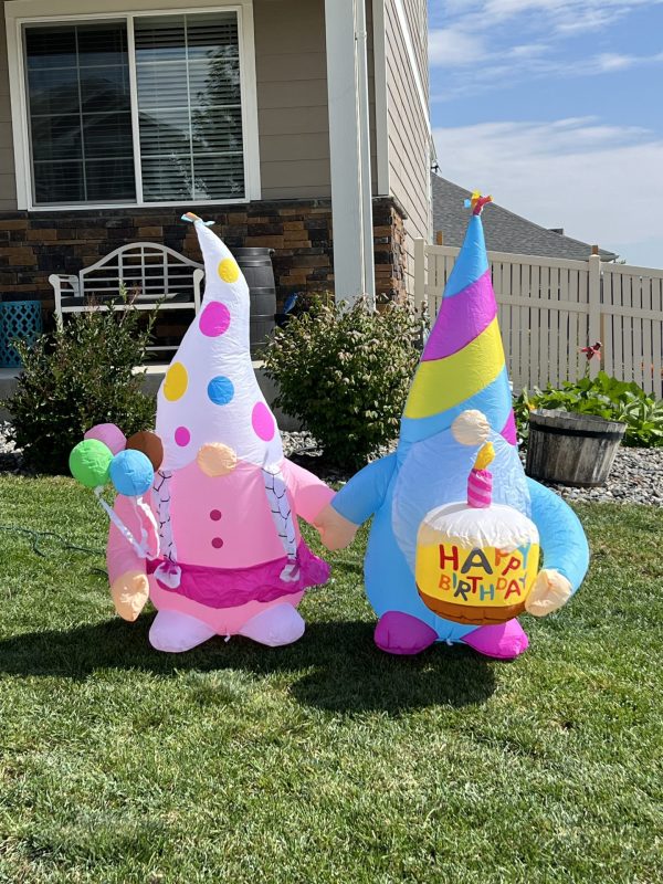 Birthday Gnomes